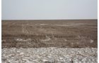 Property photo 58 - Kansas Land Auction - 960 Acres - 7 Farms in 3 Counties